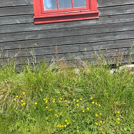 אתר קמפינג Batsto *