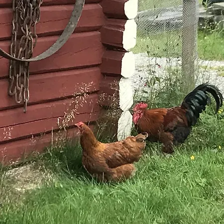 Batsto Кемпинг *