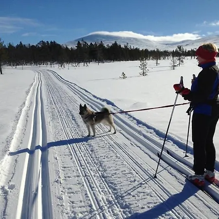Batsto Кемпинг Elga